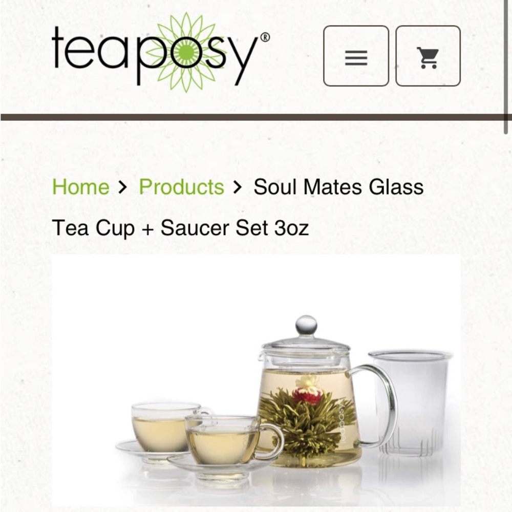 Tea set Teposy set open never used no tea bags.